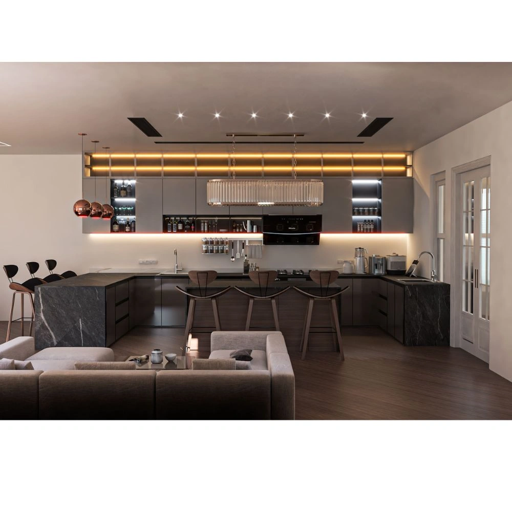 Interior Project: 12– THE AURELIA HOME, 4554 S Lake Park Ave, Chicago, IL 60653 (3)
